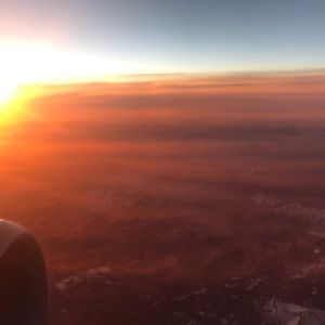 Meet your Posher, Violet